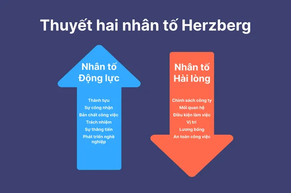 Lý Thuyết Hai Nhân Tố của Herzberg: Khám Phá Bí Mật Động Lực và Sự Hài Lòng trong Công Việc