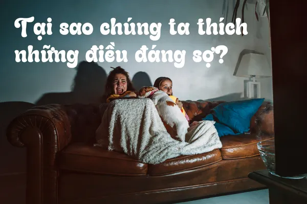 Khám Phá Nỗi Sợ Giải Trí: Tại Sao Chúng Ta Thích Những Điều Đáng Sợ?